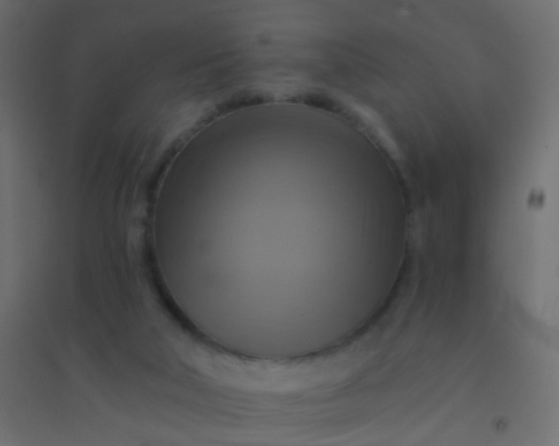X0000094900018200712131440