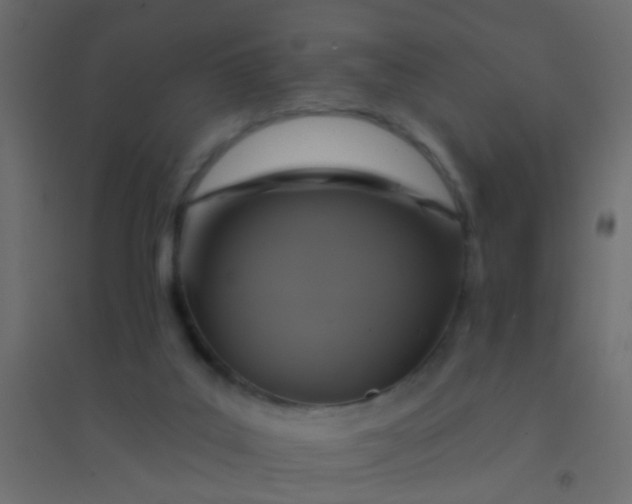 X0000094900019200712131440