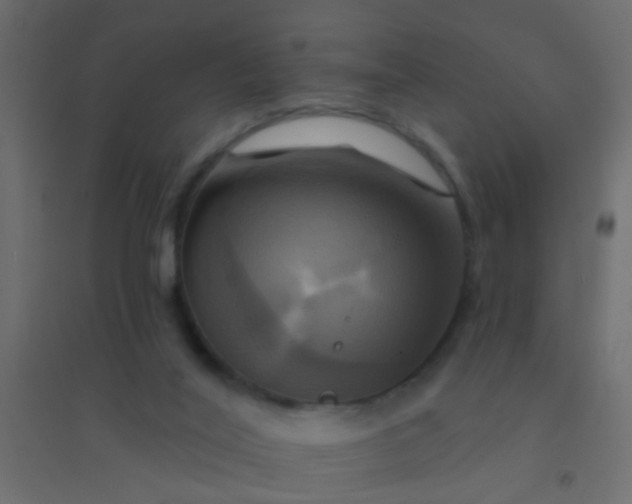 X0000094900020200712131440