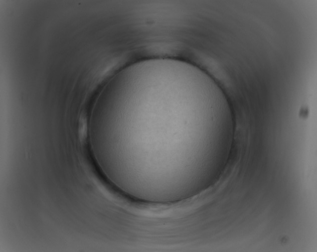 X0000094900021200712131440