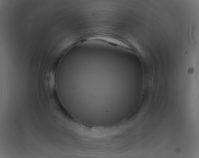 X0000094900022200712131440