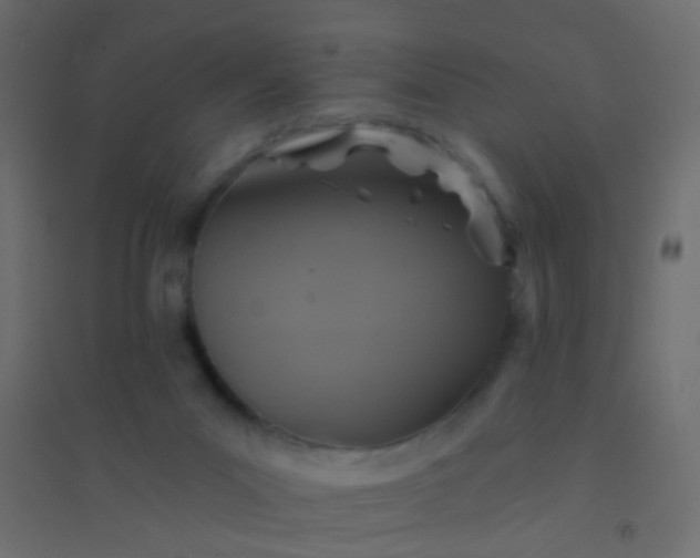 X0000094900023200712131440