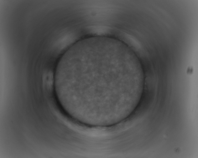 X0000094900024200712131440