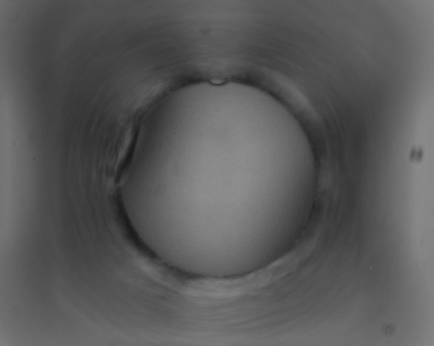 X0000094900025200712131440