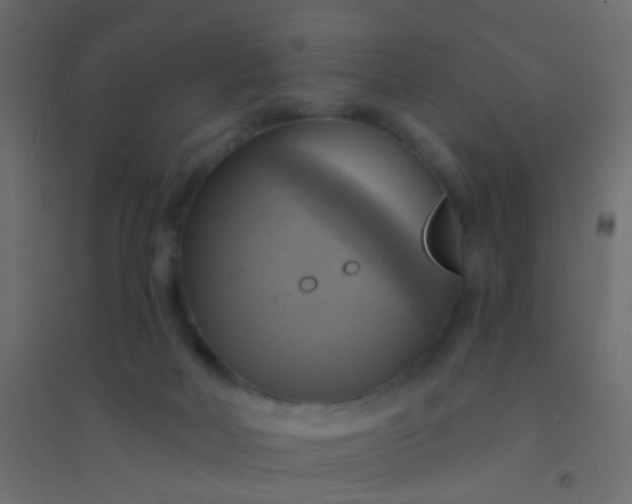 X0000094900026200712131440