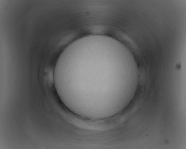 X0000094900028200712131440