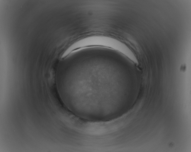 X0000094900029200712131440