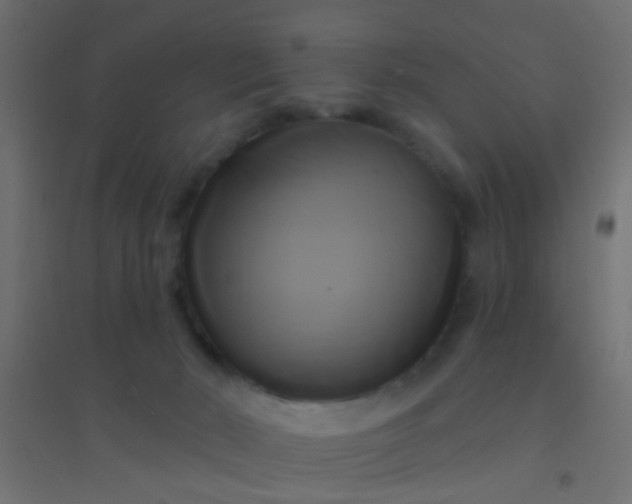 X0000094900030200712131440