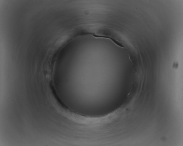X0000094900031200712131440
