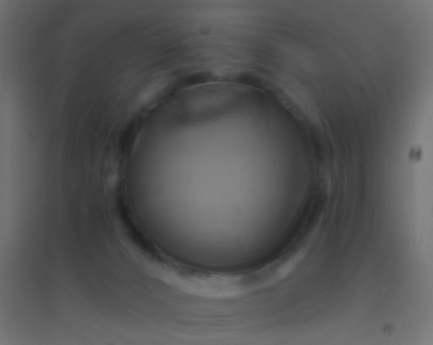 X0000094900032200712131440