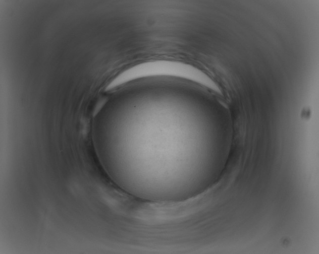 X0000094900033200712131440