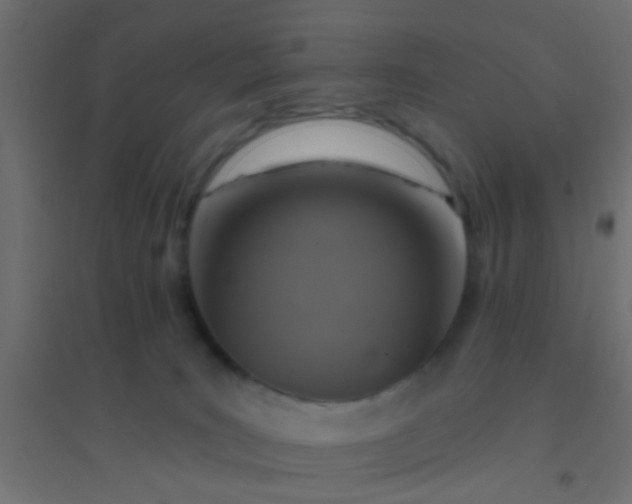 X0000094900035200712131440