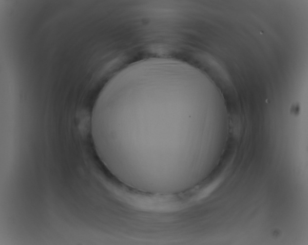 X0000094900036200712131440