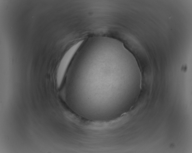 X0000094900037200712131440