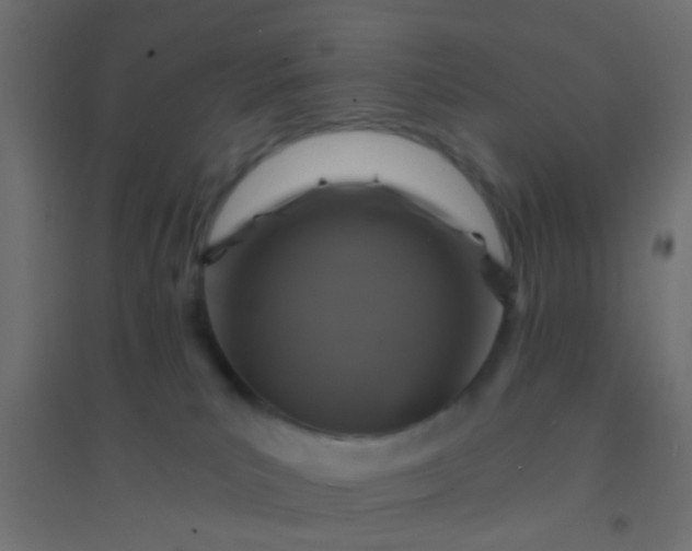 X0000094900039200712131440