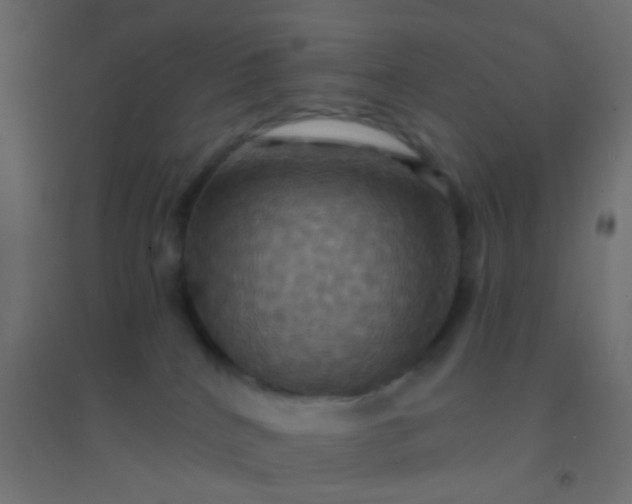 X0000094900040200712131440