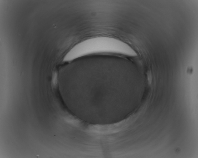 X0000094900041200712131440