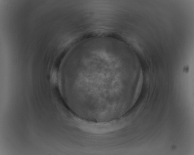 X0000094900042200712131440