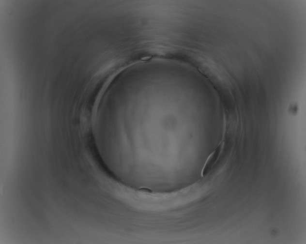 X0000094900043200712131440