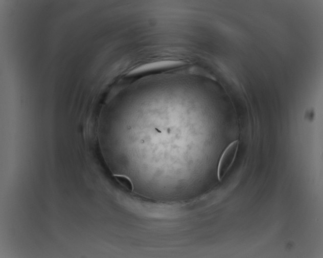 X0000094900044200712131440