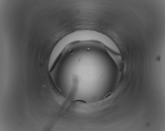 X0000094900045200712131440