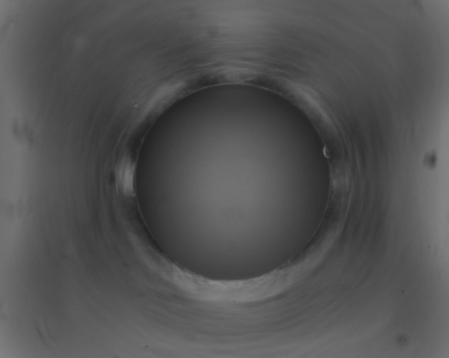 X0000094900046200712131440