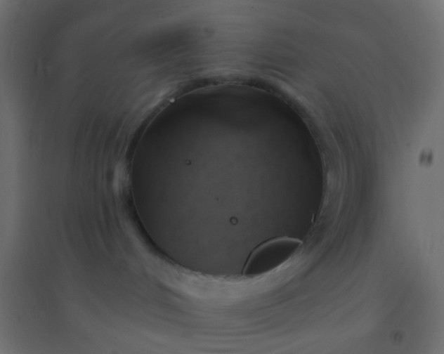 X0000094900048200712131440