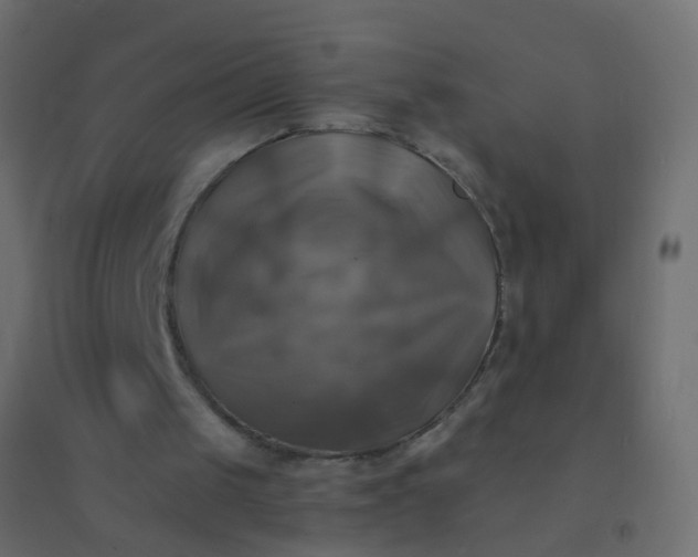 X0000094900049200712131439