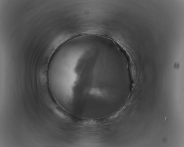 X0000094900050200712131439