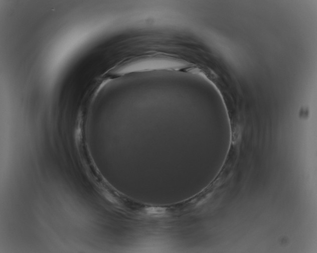 X0000094900052200712131439