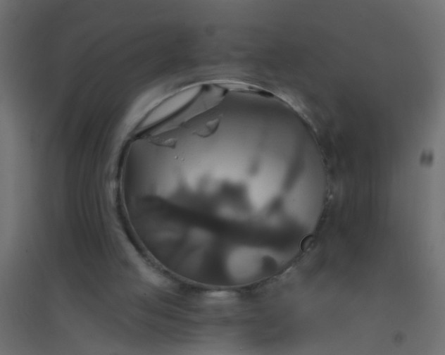 X0000094900053200712131439