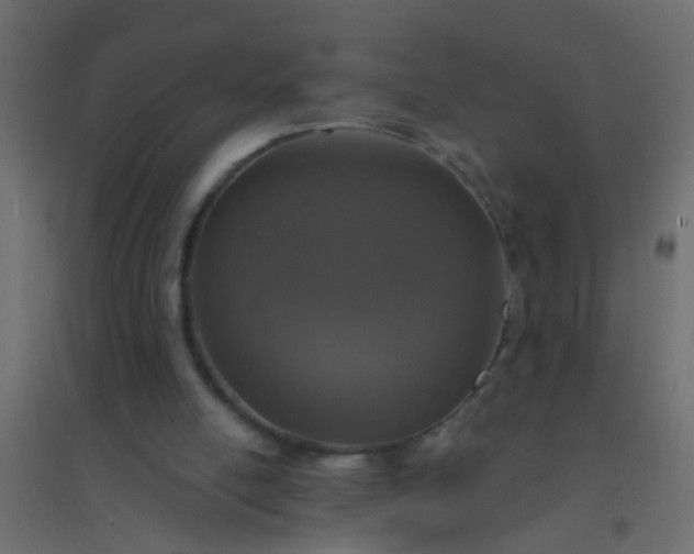 X0000094900054200712131439