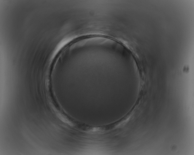 X0000094900056200712131439