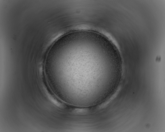 X0000094900057200712131439
