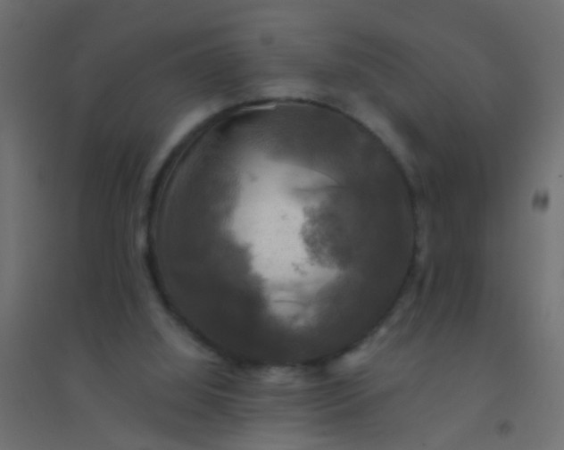 X0000094900060200712131439