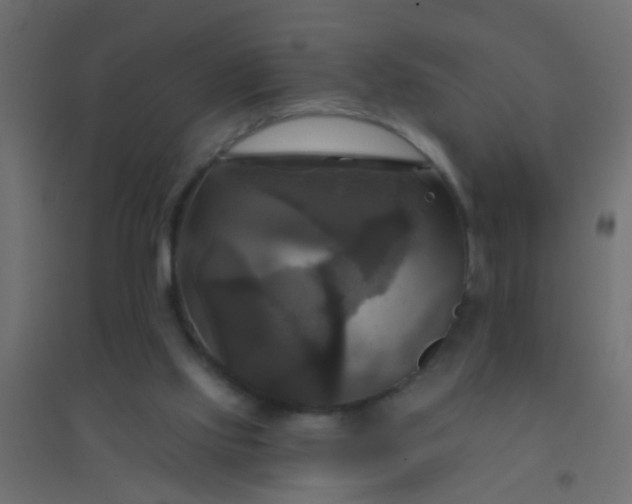 X0000094900061200712131439