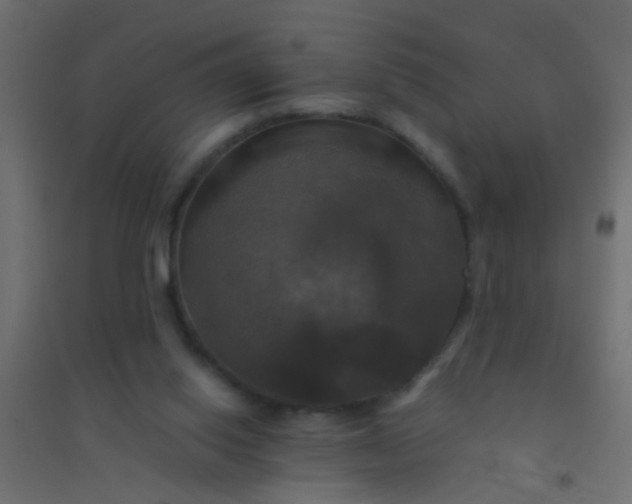 X0000094900062200712131439