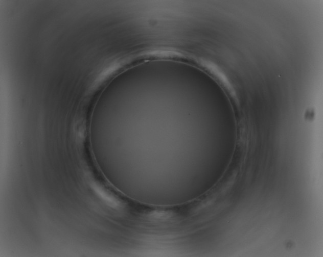 X0000094900063200712131439