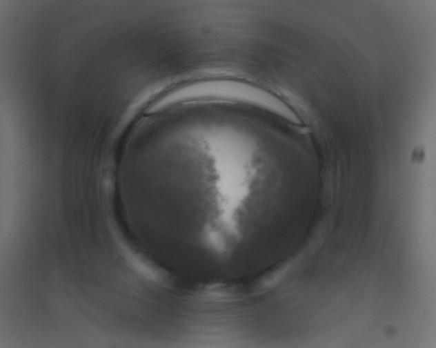 X0000094900064200712131439