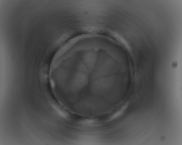 X0000094900065200712131439