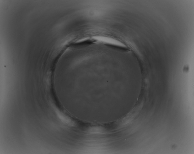 X0000094900066200712131439