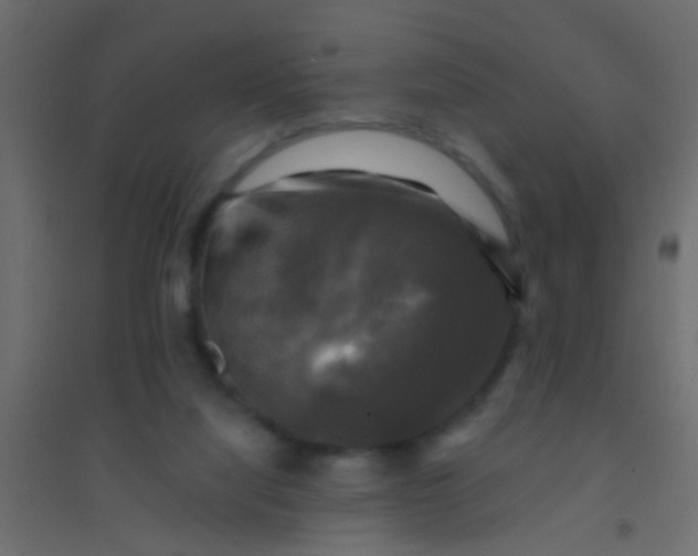 X0000094900068200712131440