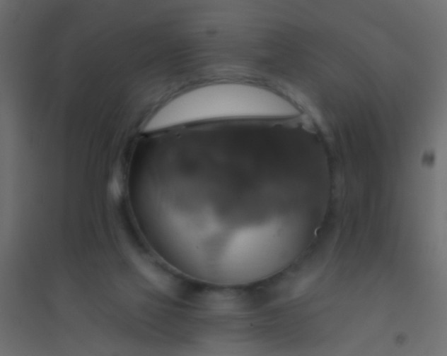 X0000094900069200712131440