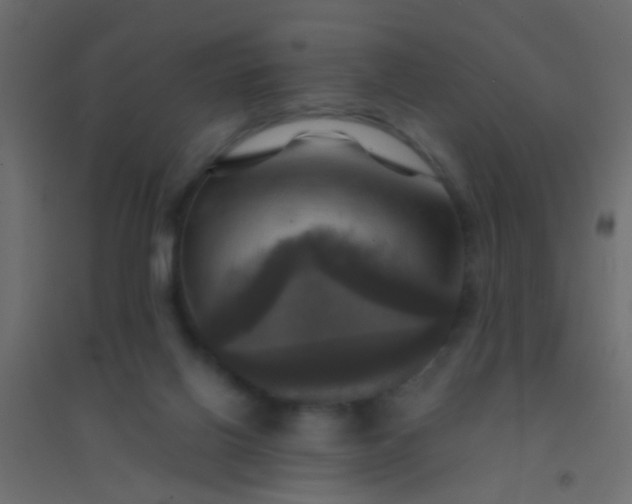 X0000094900070200712131440