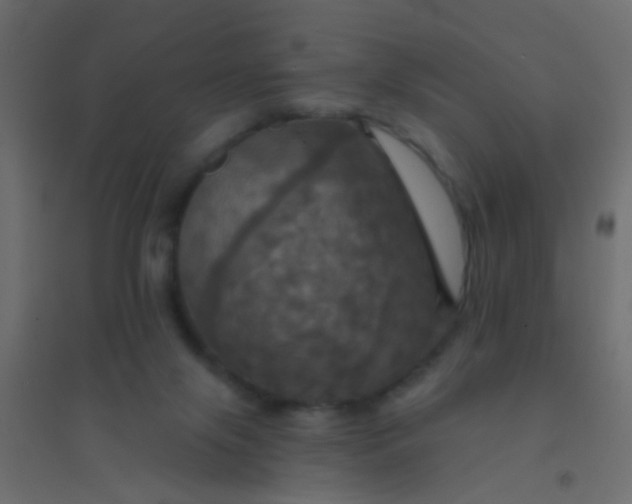 X0000094900071200712131440