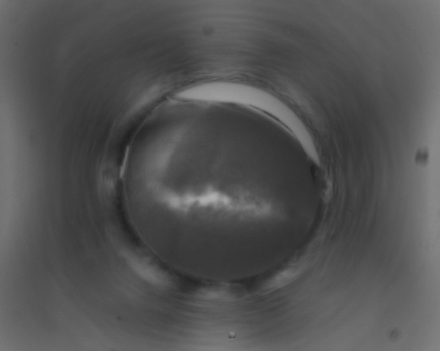 X0000094900072200712131440