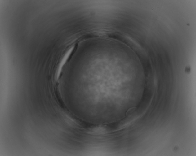 X0000094900075200712131440