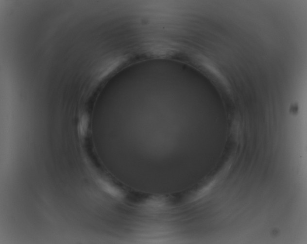 X0000094900076200712131440