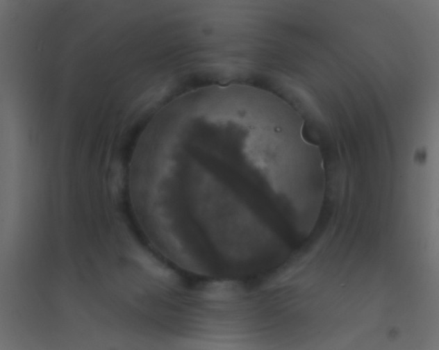 X0000094900077200712131440