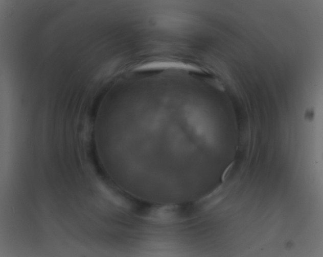 X0000094900078200712131440